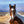 Load image into Gallery viewer, Wild Pinto Horse greeting card
