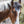 Load image into Gallery viewer, A Wild Horse Named Blue Greeting card

