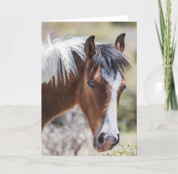 A Wild Horse Named Blue Greeting card