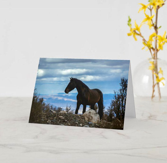 wild horse greeting card