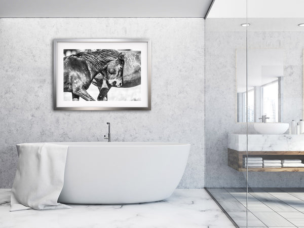 "Wild" Photographic Wall Art